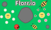 Florr io